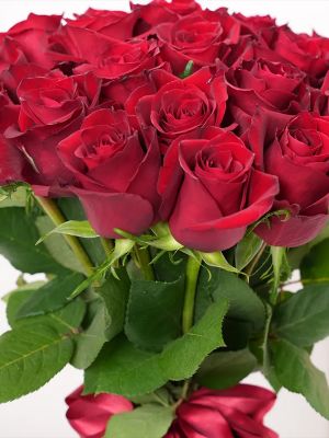  Arapgir Çiçek Siparişi - 24 Kırmızı Gül Buketi